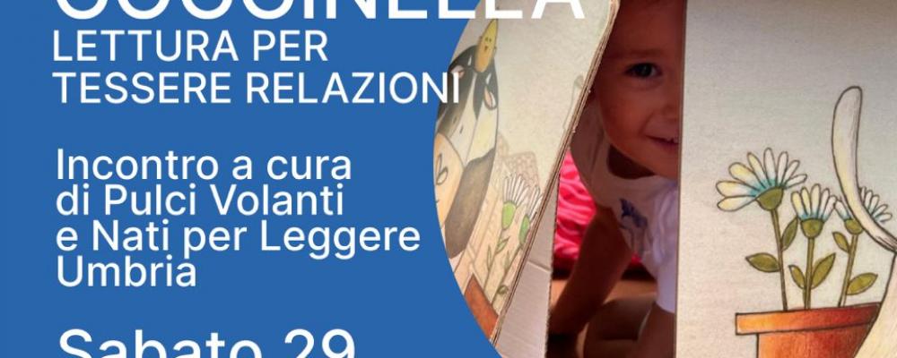 Cicicocco Coccinella