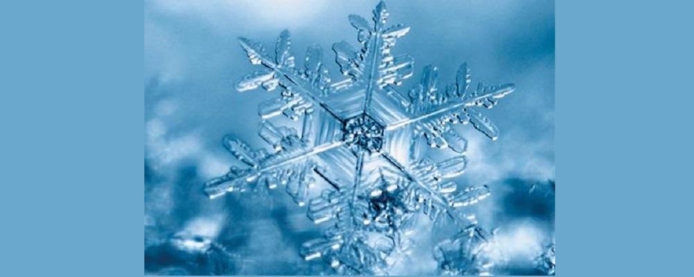 Il collezionista di cristalli di neve (Albatros 2025)