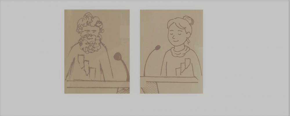 Debate pubblico