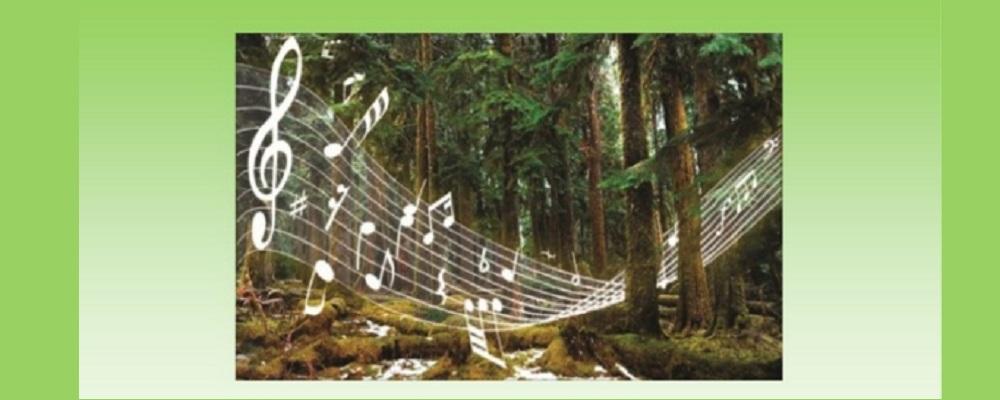 Alberi e musica: quando il mondo forestale incontro il mondo dell’arte
