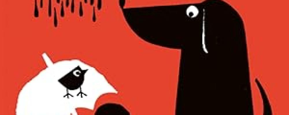 Quante piccole gioie!