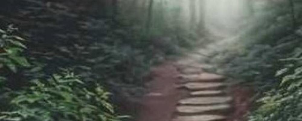 La peste del linguaggio